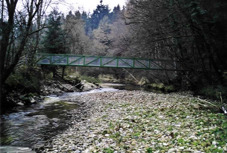 Gehwegbrücke über die Laiblach, Hergensweiler